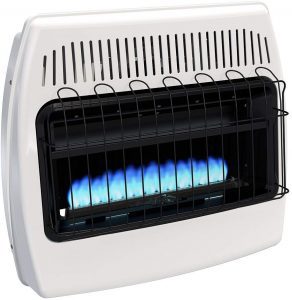 Gas Space Heaters