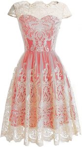 DRESSTELLS Women's Homecoming Floral Embroidered Lace Cocktail Maxi Dress with Cap-Sleeves